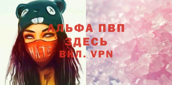 хмурый Няндома