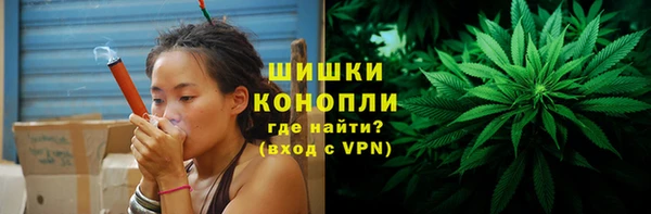 хмурый Няндома