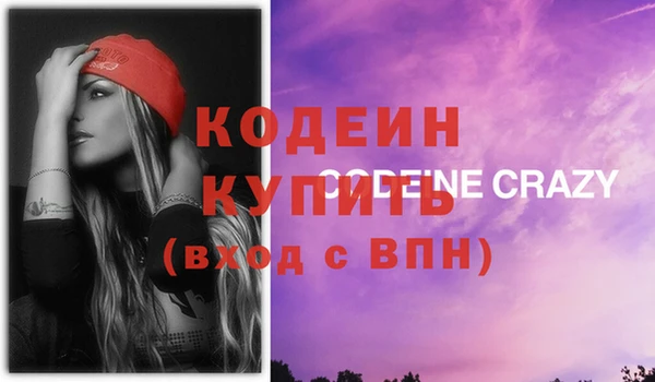 хмурый Няндома