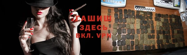 хмурый Няндома
