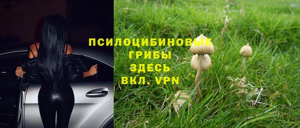 мескалин Нягань