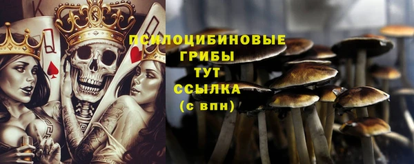 хмурый Няндома
