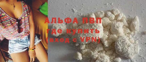 хмурый Няндома