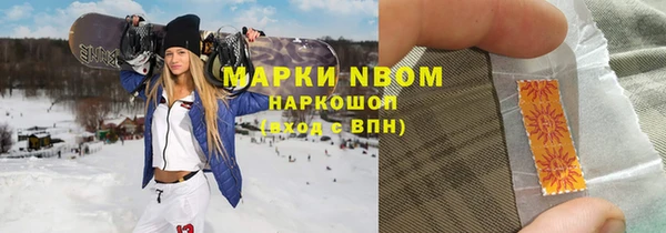 хмурый Няндома