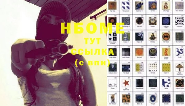 хмурый Няндома