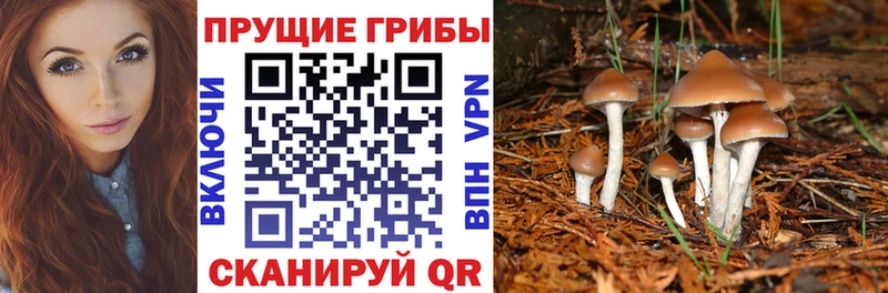 Псилоцибиновые грибы ЛСД  Сертолово 