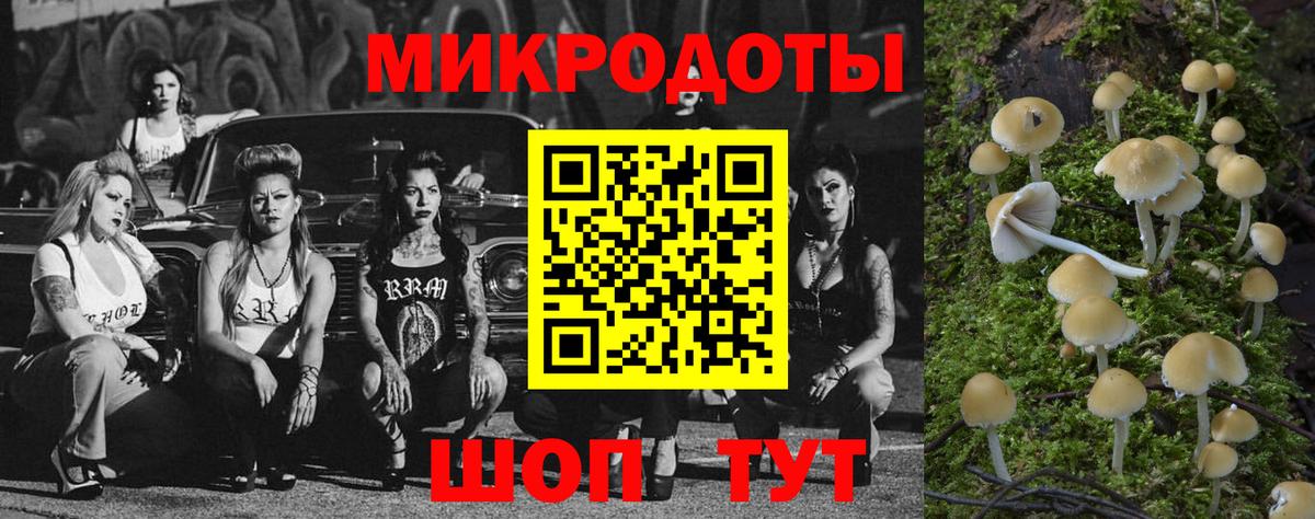 Псилоцибиновые грибы мицелий  Сертолово  Псилоцибиновые грибы Magic Shrooms 