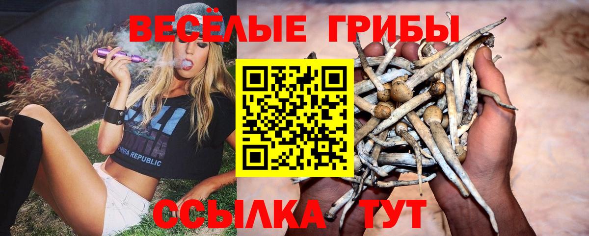 Галлюциногенные грибы GOLDEN TEACHER Сертолово